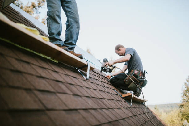 Fast & Reliable Emergency Roof Repairs in Algonquin, MD